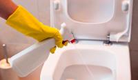 Toilet Repairs Plumbing Bondi image 2